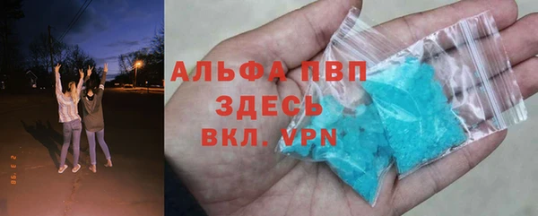 гидра Абаза