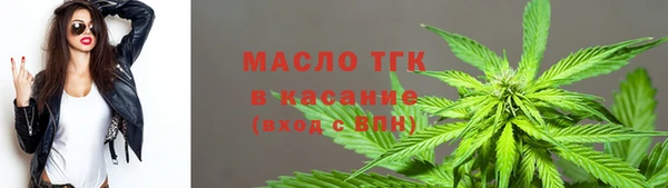 гидра Абаза