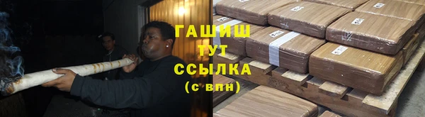 гидра Абаза