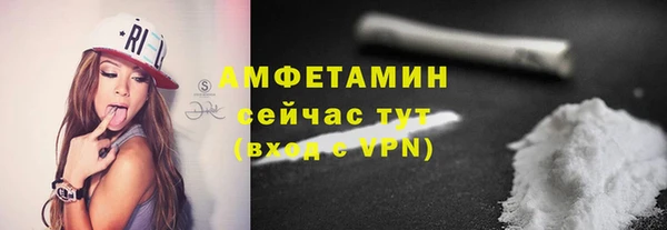 гидра Абаза