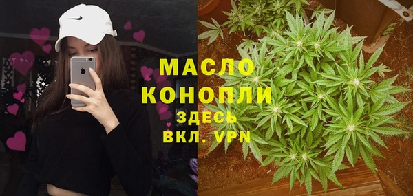 гидра Абаза