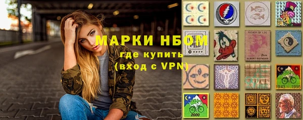 гидра Абаза