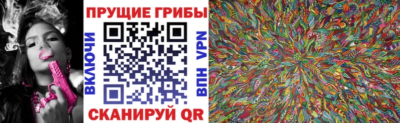 купить наркотики цена Тихорецк Галлюциногенные грибы Magic Shrooms