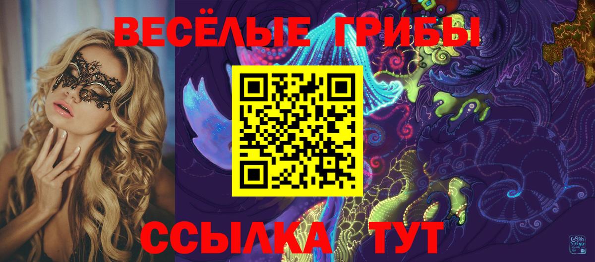 Галлюциногенные грибы Psilocybine cubensis  Вход с VPN  Тихорецк  закладка  Псилоцибиновые грибы Psilocybe 
