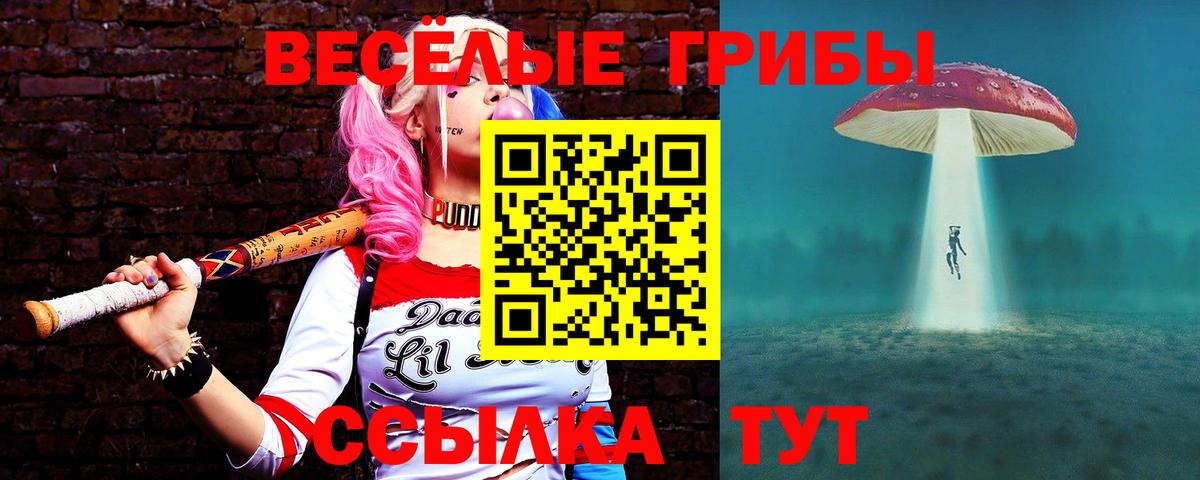Псилоцибиновые грибы прущие грибы Тихорецк